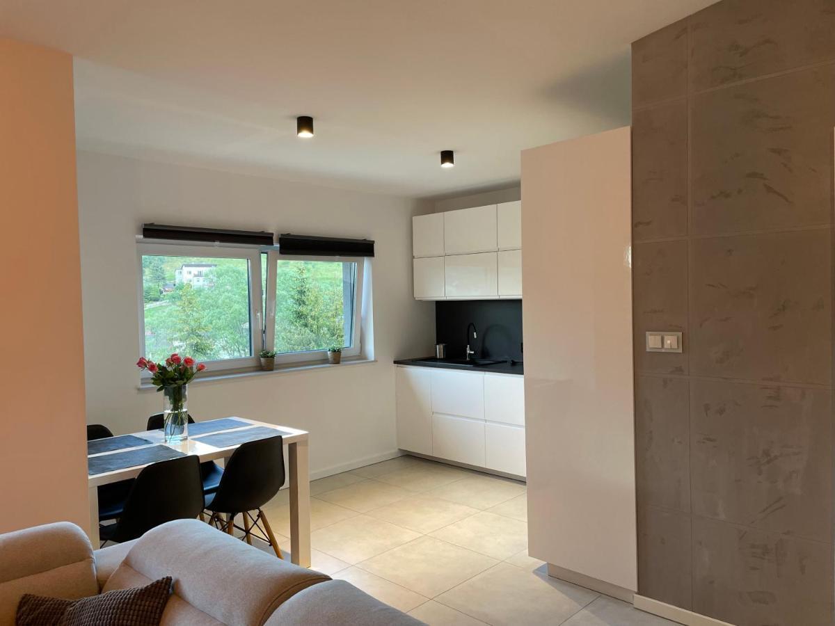 Apartament Z Klimatem II Висла Экстерьер фото